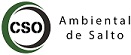 LOGO CSO AMBIENTAL DE SALTO SPE SA